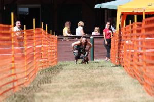 hunderennen 07 08 22l2