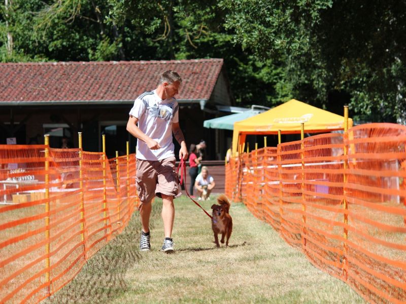 hunderennen 07 08 22l2