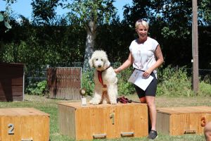 hunderennen 07 08 22l2