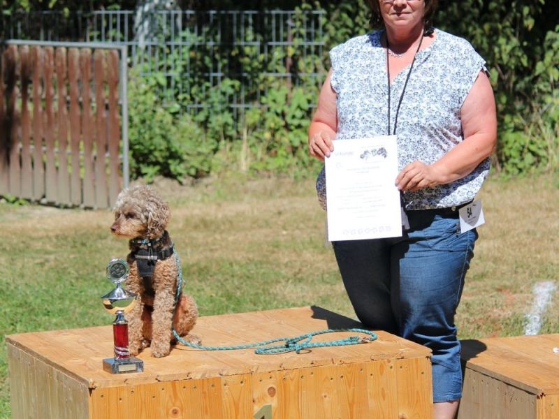 hunderennen 07 08 22l2
