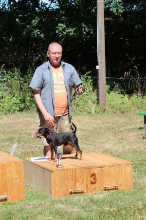 hunderennen 07 08 22l2