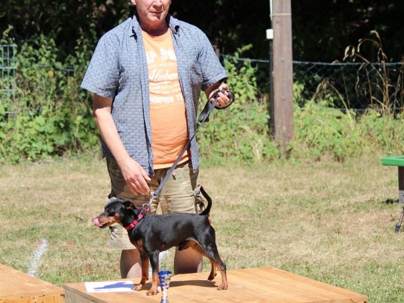 hunderennen 07 08 22l2