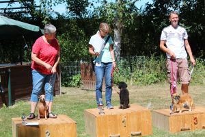 hunderennen 07 08 22l2