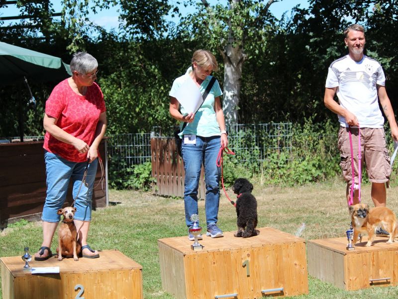 hunderennen 07 08 22l2