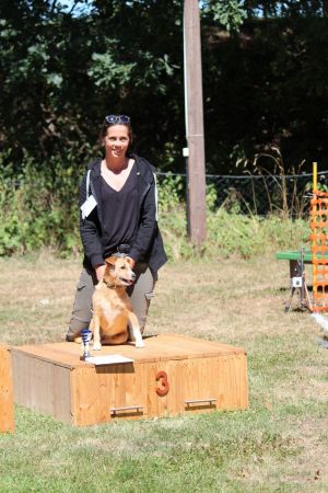 hunderennen 07 08 22l2