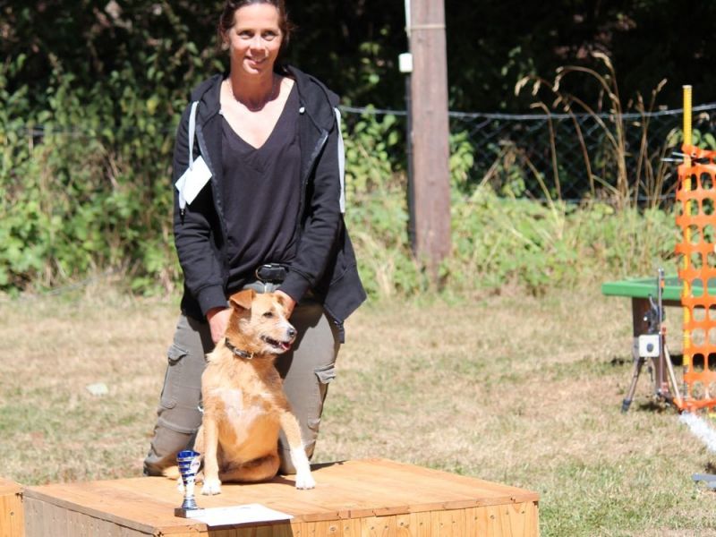 hunderennen 07 08 22l2