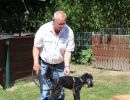 hunderennen 07 08 22l2