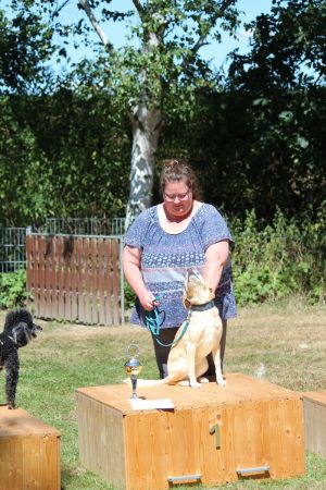 hunderennen 07 08 22l2