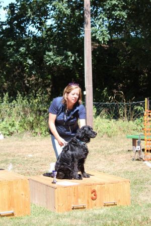 hunderennen 07 08 22l2