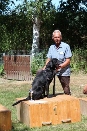 hunderennen 07 08 22l2