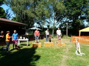 hunderennen 07 08 22l2