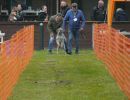 hunderennen 16 04 23