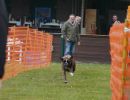 hunderennen 16 04 23