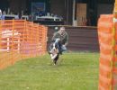 hunderennen 16 04 23