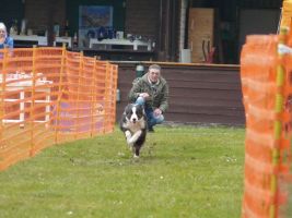 hunderennen 16 04 23