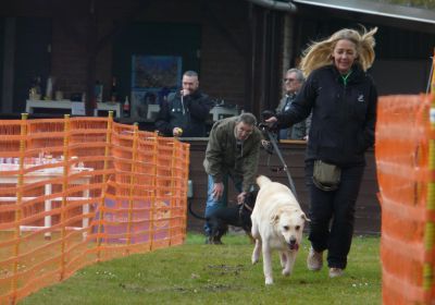 Hunderennen 16.04.2023