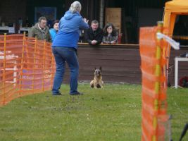 hunderennen 16 04 23