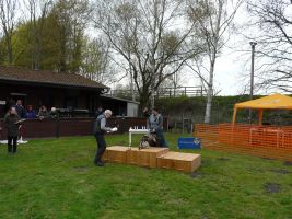 hunderennen 16 04 23