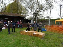 hunderennen 16 04 23