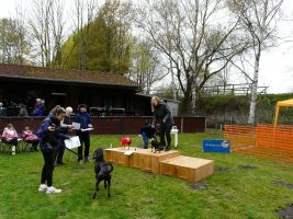 hunderennen 16 04 23