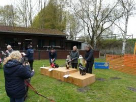 hunderennen 16 04 23