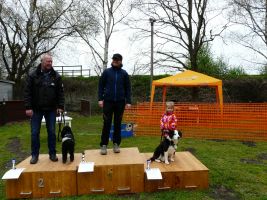 hunderennen 16 04 23