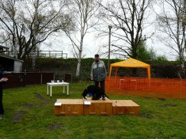 hunderennen 16 04 23