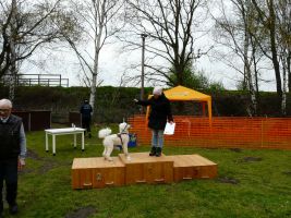 hunderennen 16 04 23