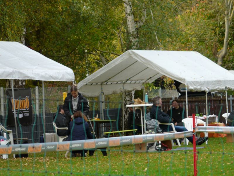 hunderennen 20 10 24