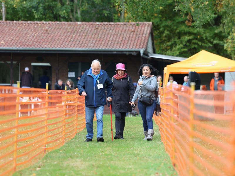 hunderennen 20 10 24