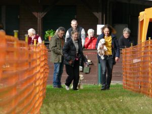 hunderennen 20 10 24