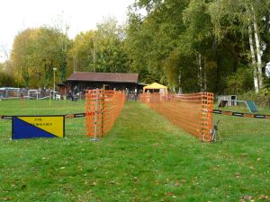 hunderennen 20 10 24