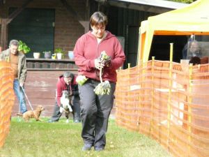 hunderennen 20 10 24
