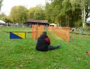 hunderennen 20 10 24