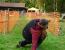 hunderennen 20 10 24