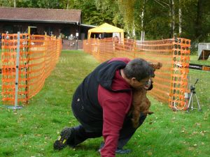 hunderennen 20 10 24