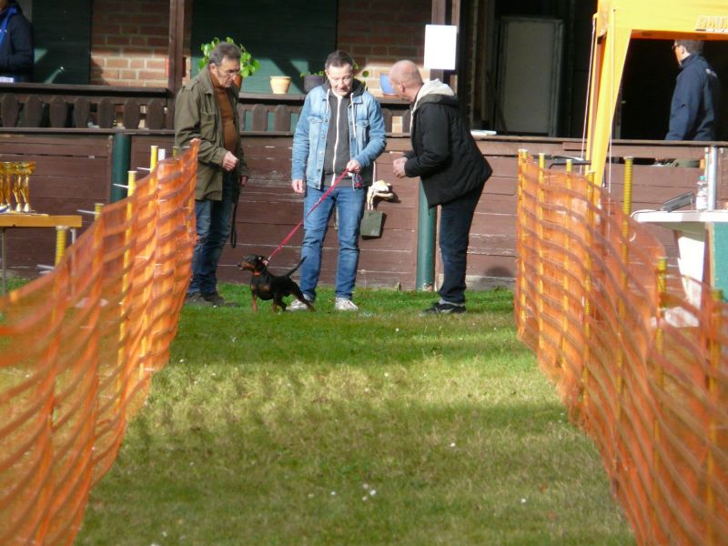 hunderennen 20 10 24
