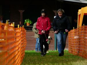 hunderennen 20 10 24