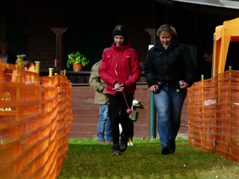 hunderennen 20 10 24