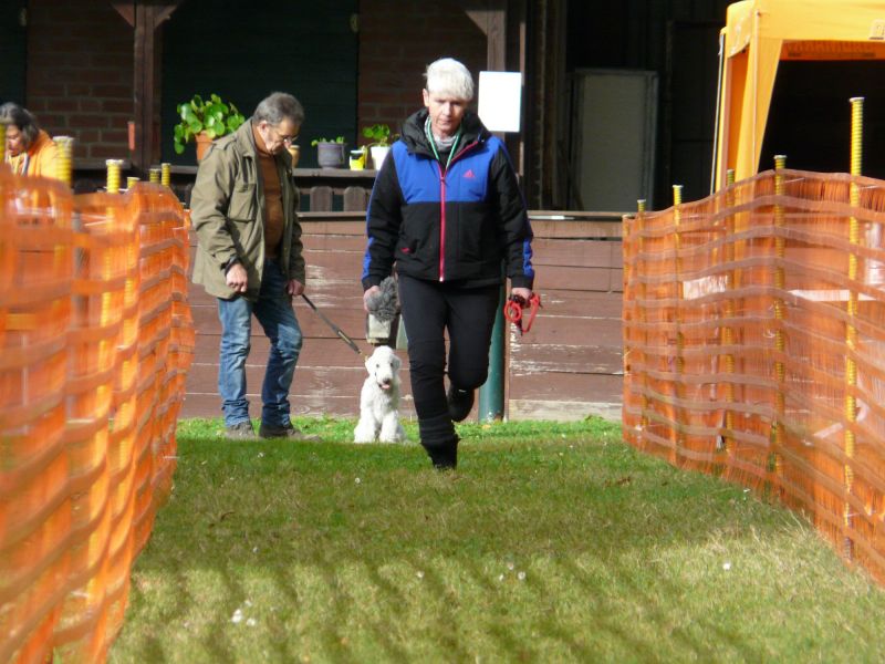hunderennen 20 10 24