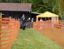 hunderennen 20 10 24
