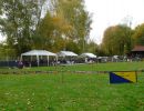 hunderennen 20 10 24