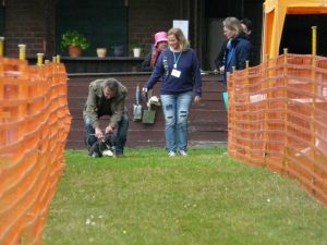 hunderennen 20 10 24
