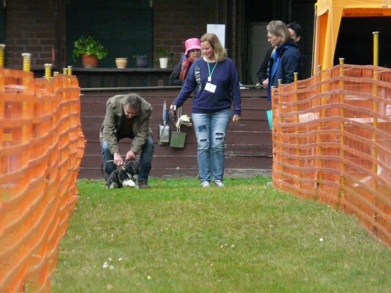 hunderennen 20 10 24