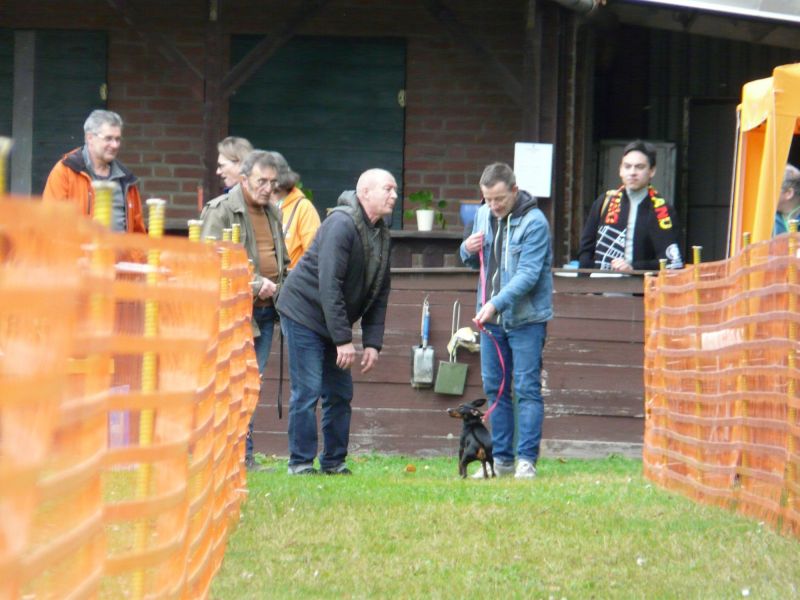hunderennen 20 10 24