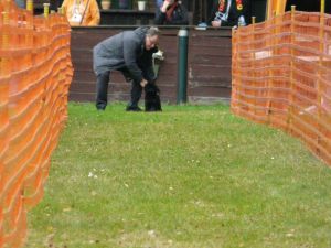 hunderennen 20 10 24