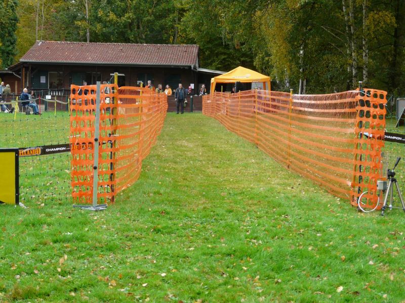 hunderennen 20 10 24