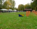 hunderennen 20 10 24