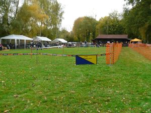 hunderennen 20 10 24
