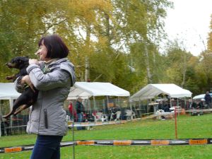 hunderennen 20 10 24